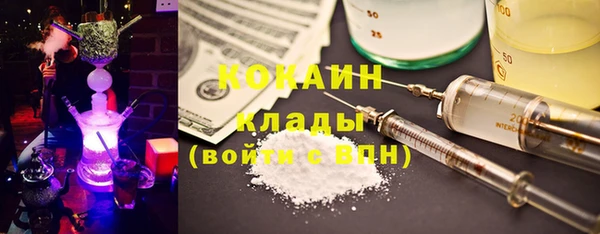 индика Сатка