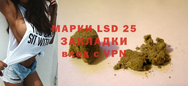 индика Сатка