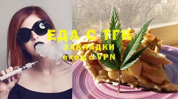 индика Сатка