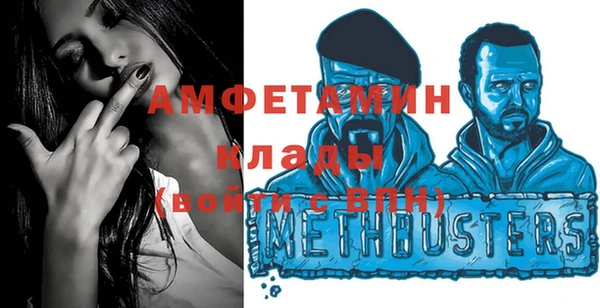 индика Сатка