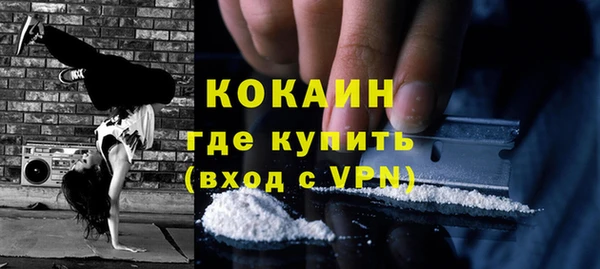 индика Сатка
