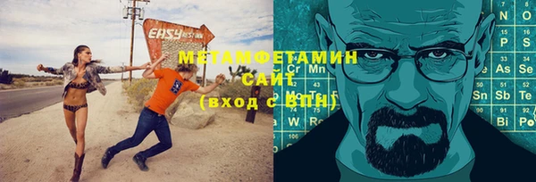 индика Сатка