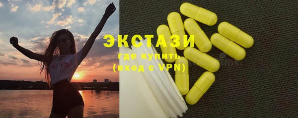 индика Сатка
