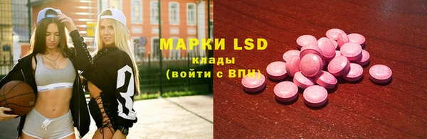 индика Сатка