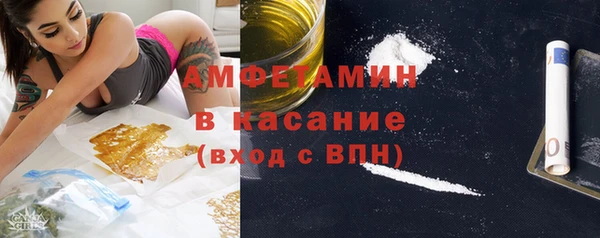 индика Сатка