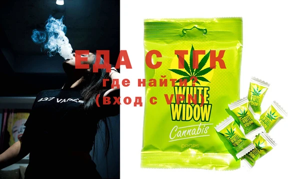 индика Сатка
