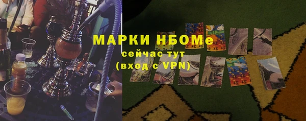 индика Сатка