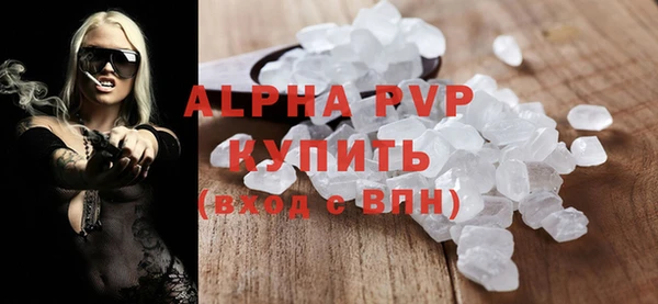 индика Сатка