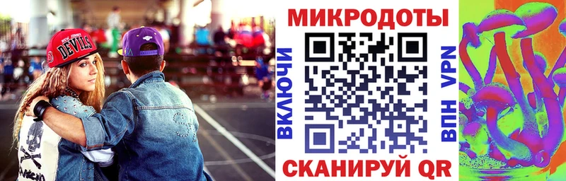 купить   Сибай  Псилоцибиновые грибы Psilocybine cubensis 
