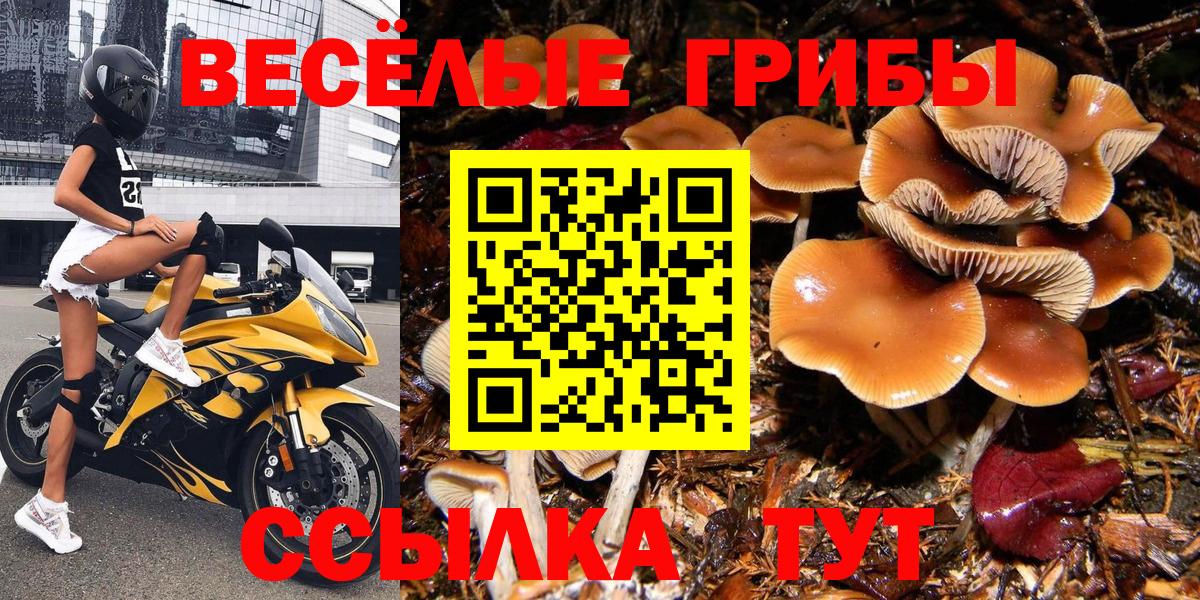 Сибай  Галлюциногенные грибы Magic Shrooms  Галлюциногенные грибы GOLDEN TEACHER  где купить наркоту  Вход с VPN 