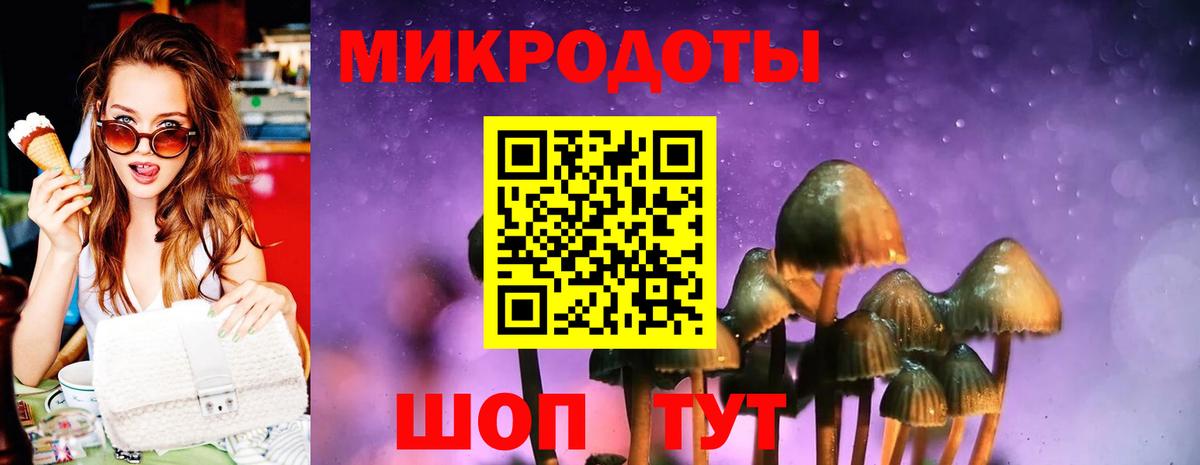 Галлюциногенные грибы Cubensis Сибай