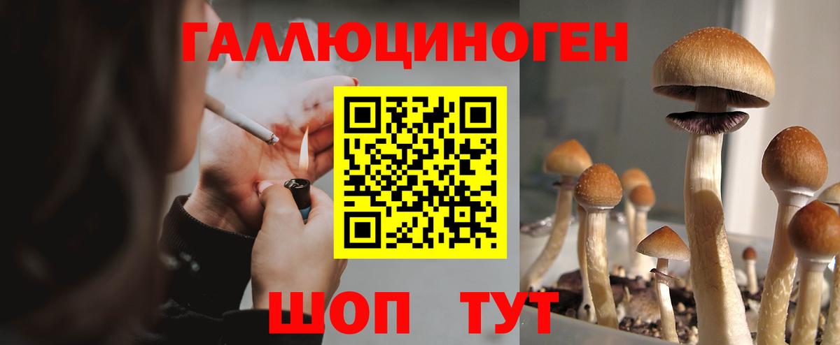 Псилоцибиновые грибы прущие грибы  Сибай 