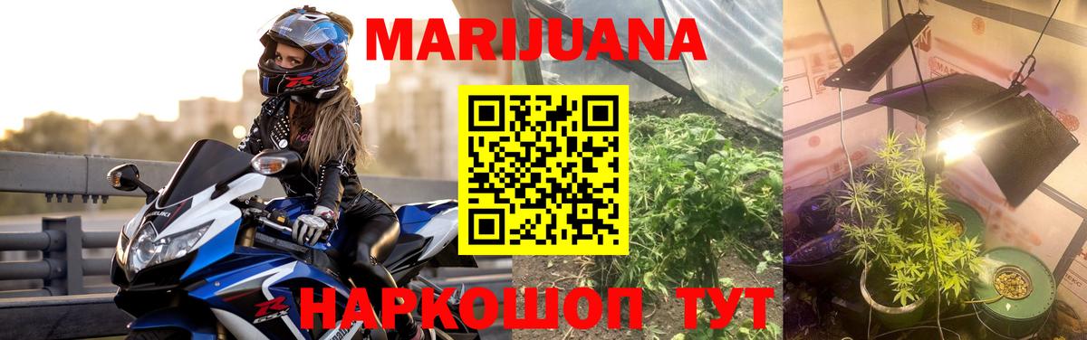Бошки марихуана AK-47  Сибай  Бошки Шишки VHQ  Марихуана индика 